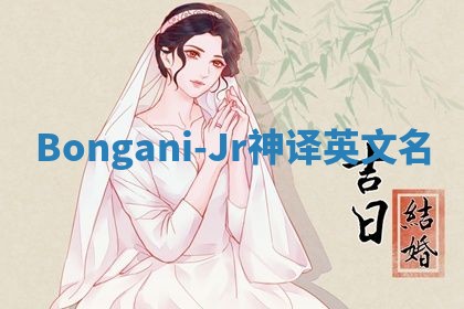 Bongani-Jr神译英文名