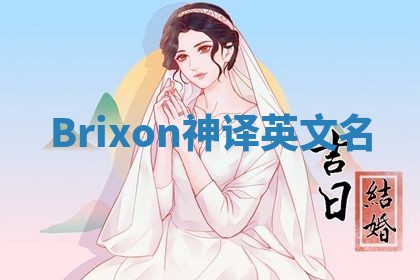 Brixon神译英文名