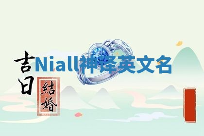 Niall神译英文名