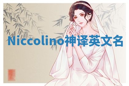 Niccolino神译英文名