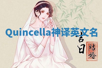 Quincella神译英文名 Quincella神译英文名