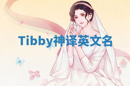 Tibby神译英文名 Tibby神译英文名