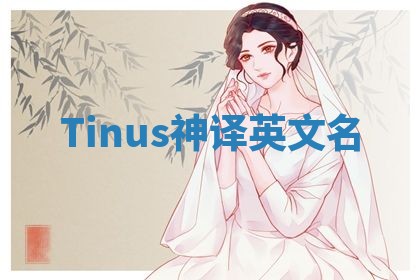 Tinus神译英文名