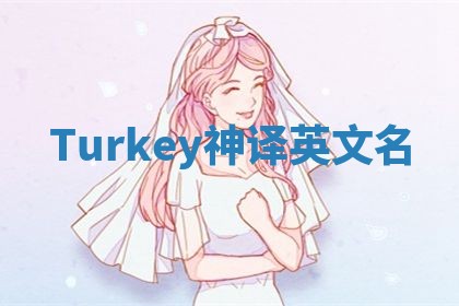 Turkey神译英文名