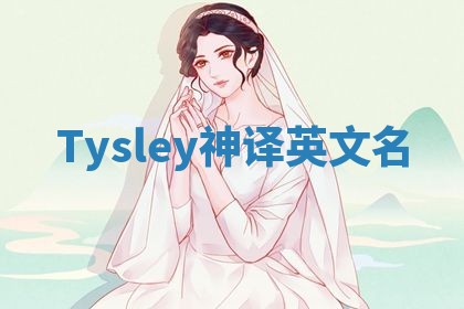 Tysley神译英文名