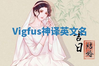 Vigfus神译英文名