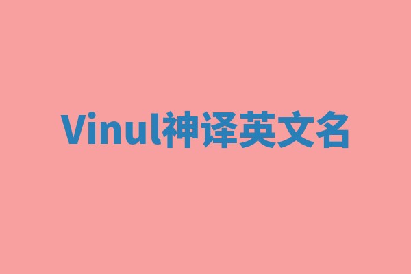 Vinul神译英文名