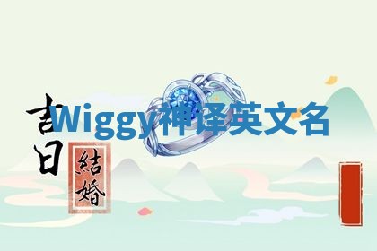 Wiggy神译英文名